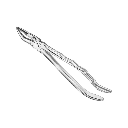 Extracting forceps, anat.